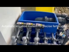 ระบบการให้น้ำและปุ๋ยที่สมบูรณ์